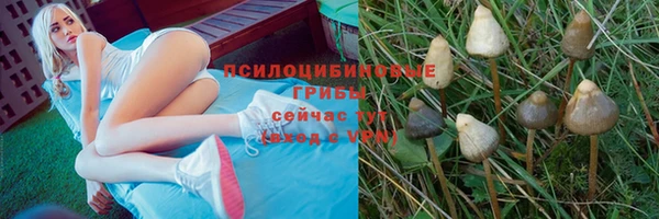 героин Вяземский