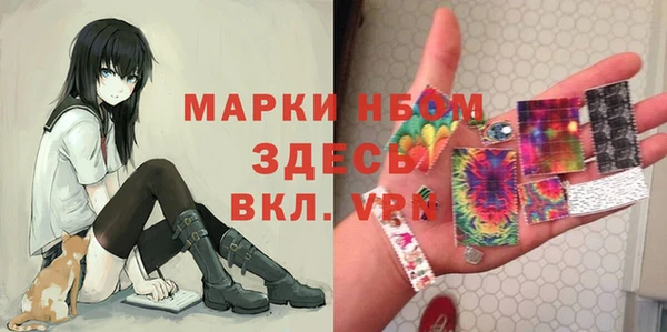 сатива Тайга