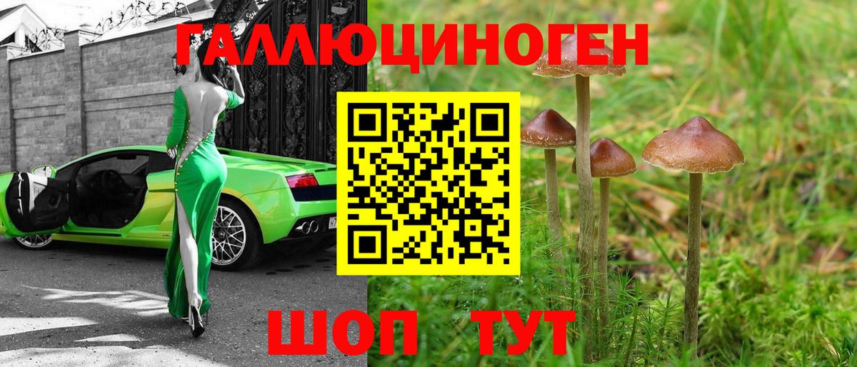 Галлюциногенные грибы Cubensis Назарово